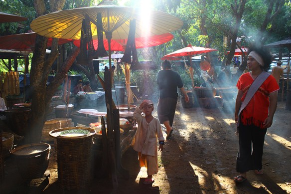 AlanaTraceyCaraboaHaze