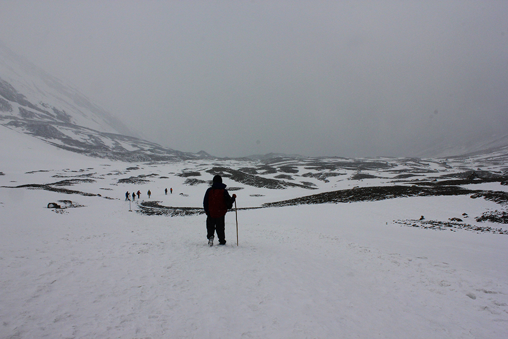 AlanaTraceyPorterThorung