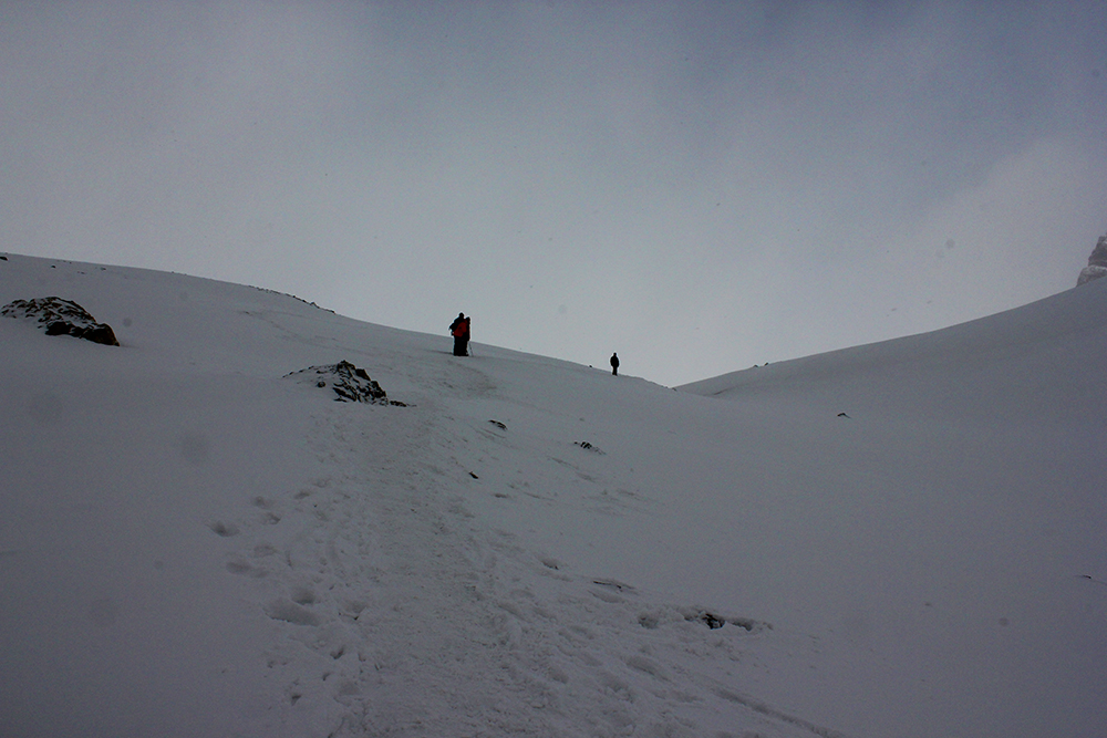 AlanaTraceyThorungIce