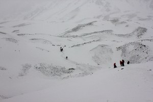 AlanaTraceyThorungPass