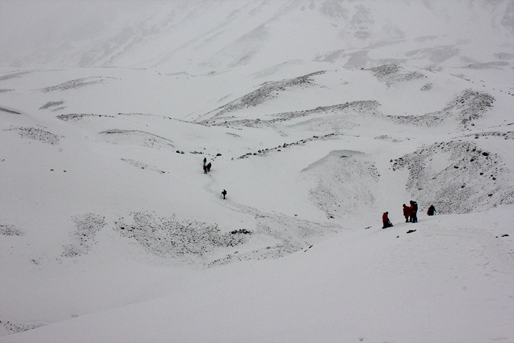 AlanaTraceyThorungPass