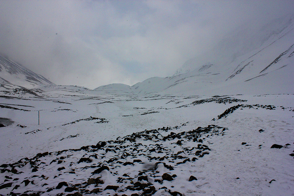 AlanaTraceyThorungStorm