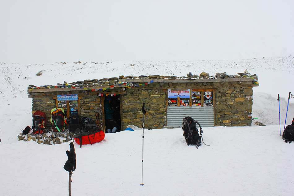 AlanaTraceyThorungTeaShop