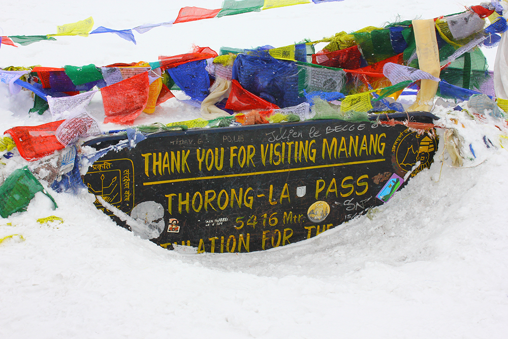 AlanaTraceyThorungThankYou