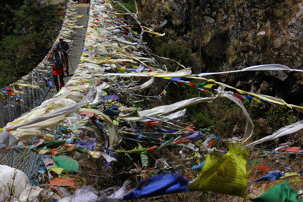 AlanaTraceySuspentionBridge