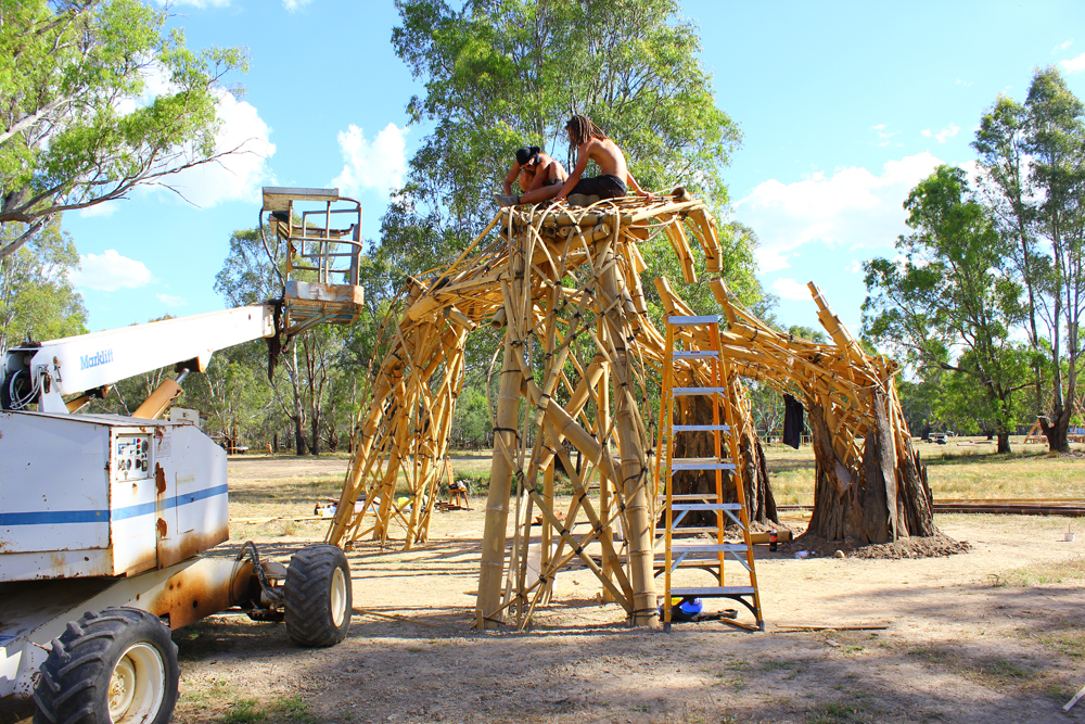 AlanaTraceyHandGrove8