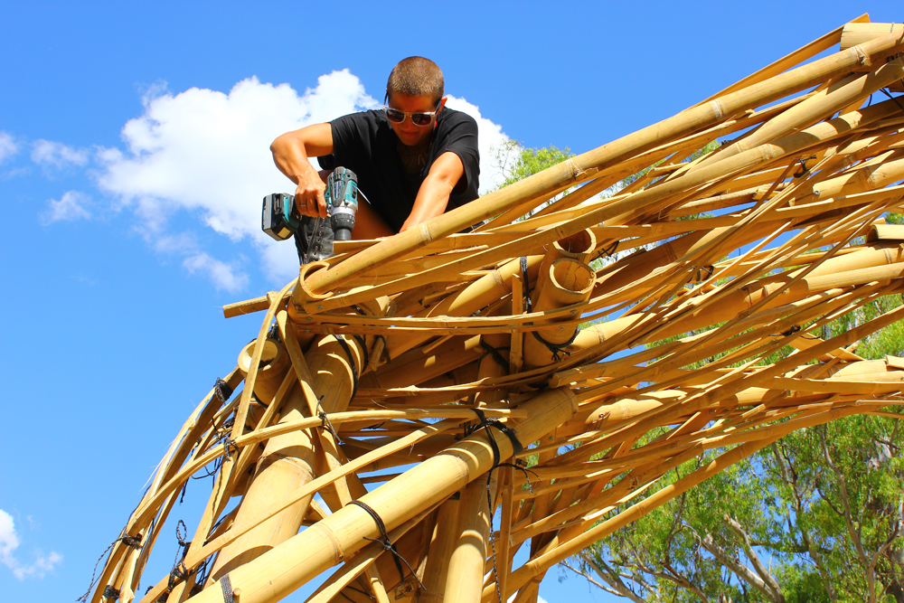 AlanaTraceyHandGrove9